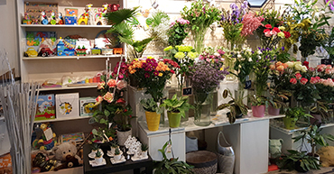 Rayon jeux pour enfants de la boutique de Fleurs à Puisserguier (34)